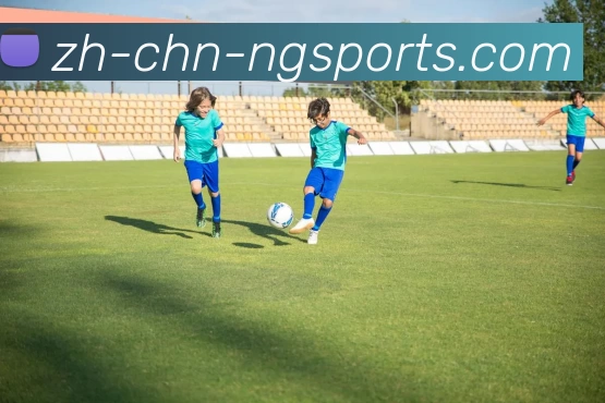 ng体育平台生态图