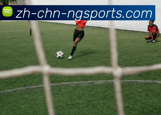 ng体育APP 封面图